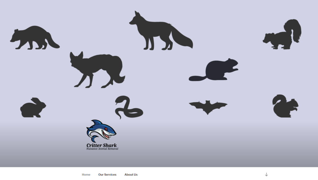 visual capture of site design for crittershark.com